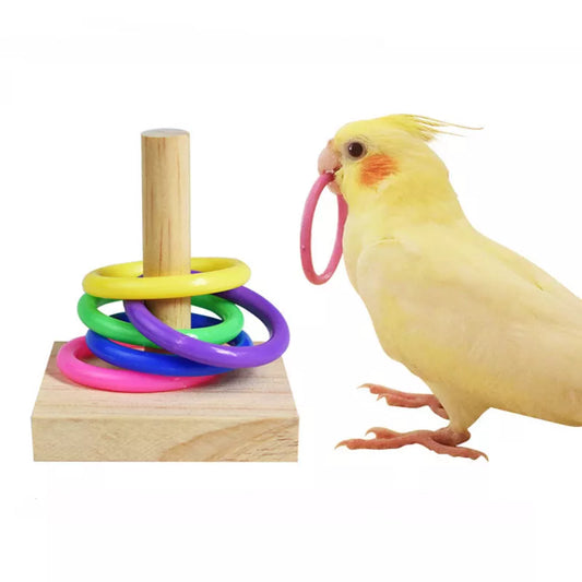 r Parrots Colorful Plastic Rings Toy
