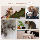 PawHut Wall-Mounted Cat Shelves
