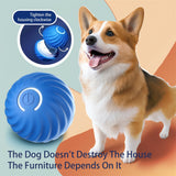 SmartBounce Dog Toy