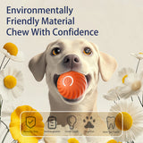 SmartBounce Dog Toy