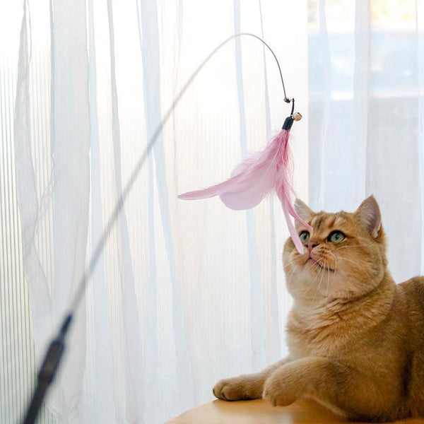 Cat Teaser Stick & Laser Pen