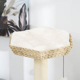 Cat Tree Activity Center – Multi-Level Cat Tower with Sisal Posts, Condo, Bed & Toys