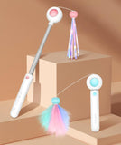 Cat Teaser Stick & Laser Pen