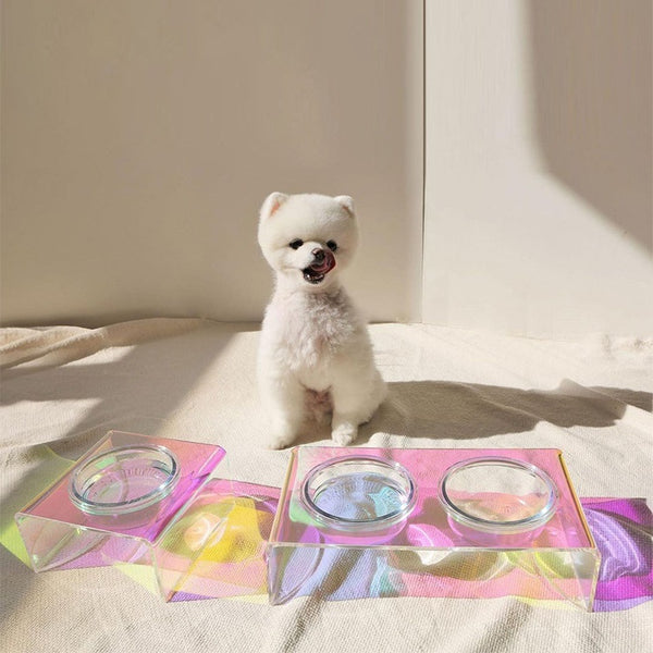 Acrylic Pet Dazzling Bowl