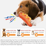 Multi-Functional Dog Chew Toys