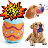 Egg Squeaky Dog Toy