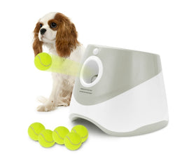 PET CHASE TOYS