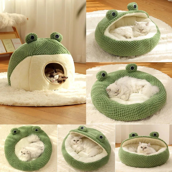 Little Frog Series Pet Bed