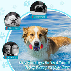 Egg Squeaky Dog Toy