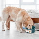 74.4oz Heated Pet Water Bowl