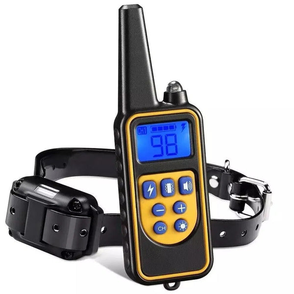PawTrainer 3000 FT