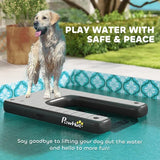 Floating Dog Pool Ramp – Safe Water Entry & Exit for Dogs