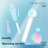 Cat Teaser Stick & Laser Pen