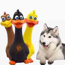 Pet Chew Toys